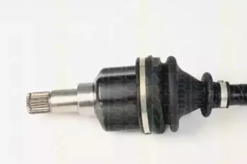triscan-854016572