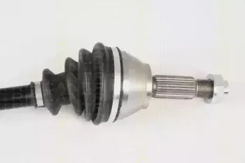 triscan-854016572