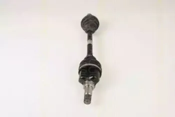 triscan-854016572