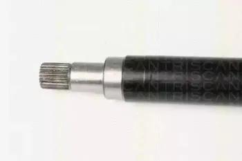 triscan-854016573