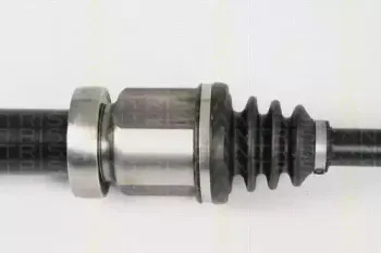 triscan-854016573