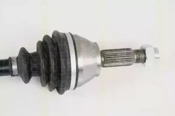triscan-854016573