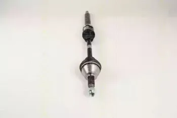 triscan-854016573