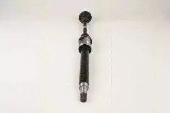 triscan-854016573