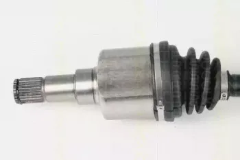 triscan-854016574