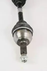 triscan-854016574