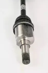 triscan-854016574