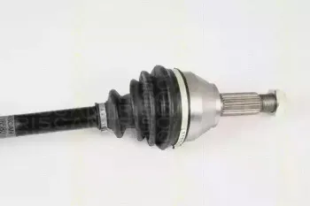 triscan-854016580