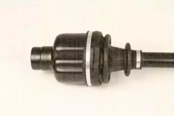 triscan-854016583
