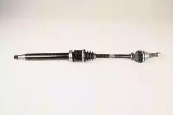 triscan-854016587