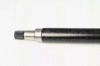 triscan-854016587