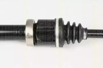 triscan-854016587