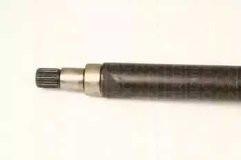 triscan-854016589