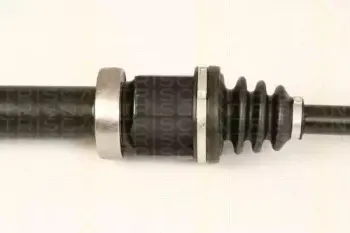 triscan-854016589