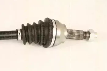 triscan-854016589