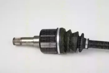triscan-854016592