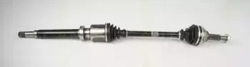 triscan-854016593