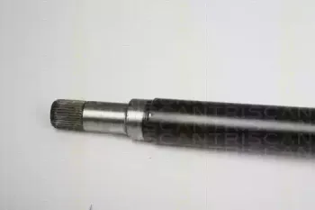 triscan-854016593
