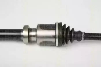 triscan-854016593