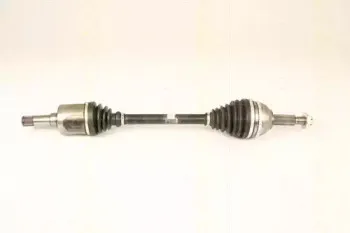 triscan-854016594