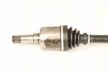 triscan-854016594