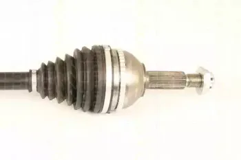 triscan-854016594