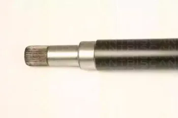triscan-854016595