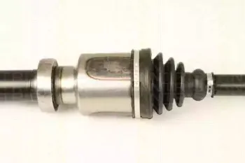 triscan-854016595