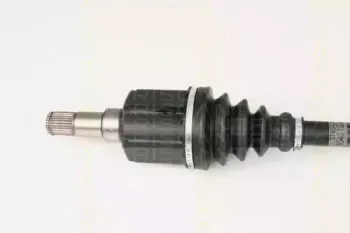 triscan-854016596