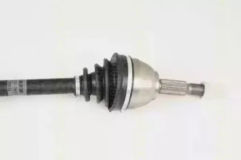 triscan-854016596