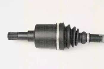 triscan-854016598