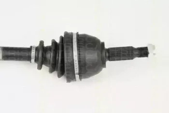 triscan-854016598