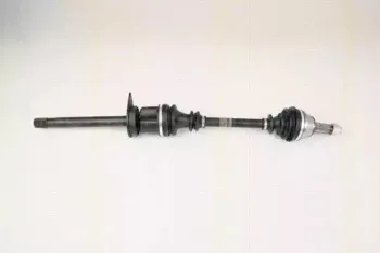 triscan-854016601