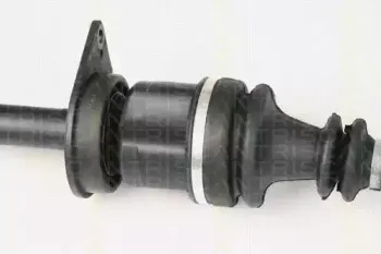 triscan-854016601
