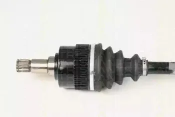 triscan-854016604
