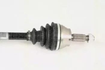 triscan-854016604