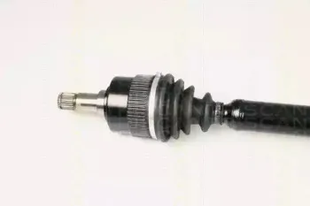 triscan-854016605