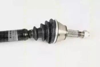 triscan-854016605