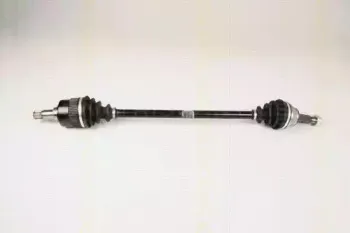 triscan-854016607