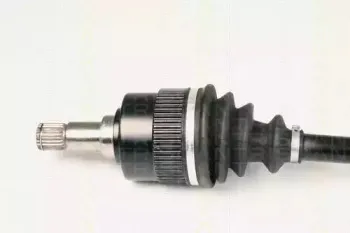 triscan-854016607