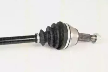 triscan-854016607