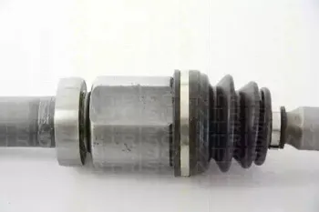triscan-854016611