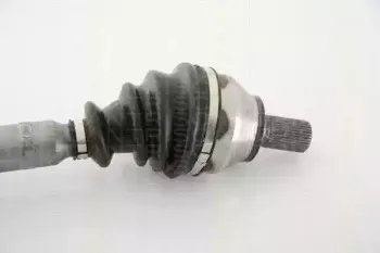 triscan-854016611
