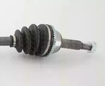 triscan-854016613