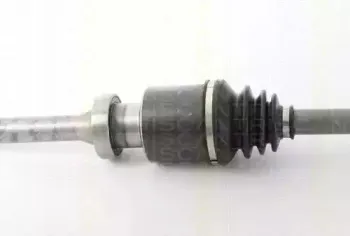 triscan-854016613