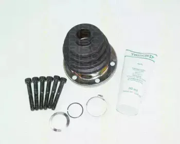 triscan-854016701