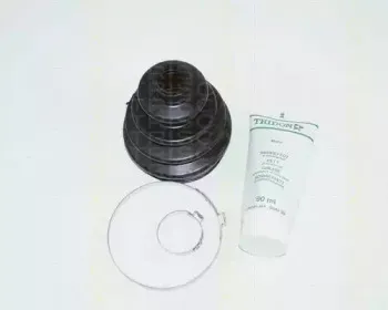 triscan-854016703