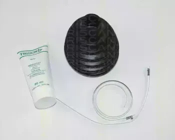 triscan-854016707