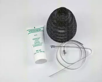 triscan-854016708