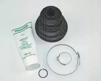 triscan-854016801